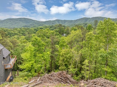 Excellent views available from this building lot located in the - photo 8