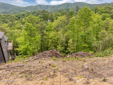 Excellent views available from this building lot located in the - photo 9