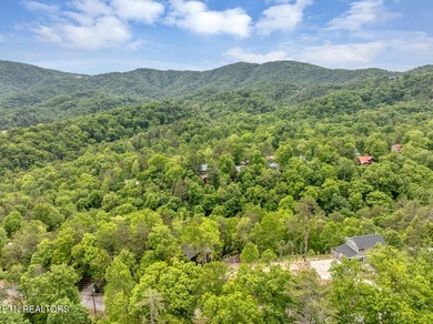 Excellent views available from this building lot located in the - photo 10