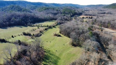 Caddo River Acreage For Sale in Norman Arkansas