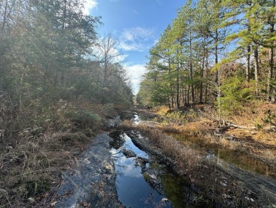 Lake Acreage For Sale in Mena, Arkansas