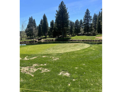 Beautiful property on the 9th fairway of Bailey Creek. Great - photo 3
