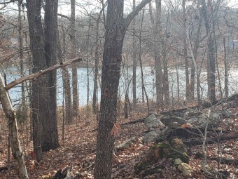 Lake Lot For Sale in Highland, Arkansas