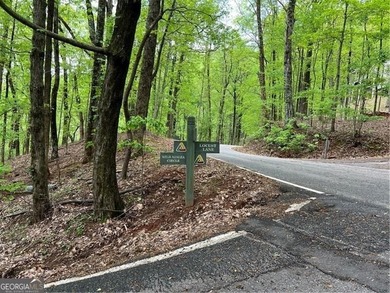 Lake Sconti Lot For Sale in Jasper Georgia