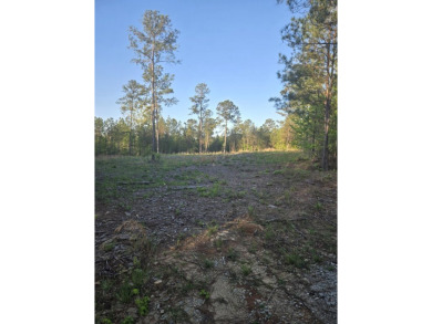 Lake Acreage For Sale in Lincolnton, Georgia