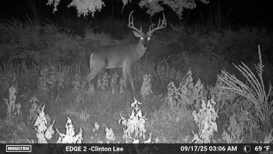 Lake Acreage For Sale in Clinton, Arkansas