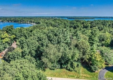 Gorgeous New Construction! Build an Estate of Your Dreams in the - photo 20