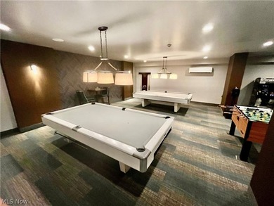 Rare opportunity to own a completely renovated Penthouse unit in - photo 29