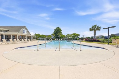 Welcome to Brighton Lakes, a gated community in Carolina Forest - photo 38
