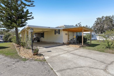 Lake Home For Sale in Leesburg, Florida