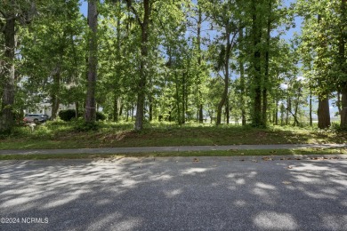 (private lake, pond, creek) Lot For Sale in Belville North Carolina