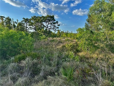 Perched on Calusa Ridge on Pine Island, this oversized - photo 1