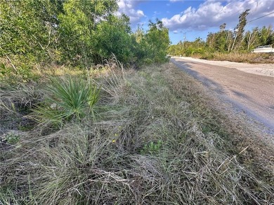 Perched on Calusa Ridge on Pine Island, this oversized - photo 3