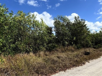 Perched on Calusa Ridge on Pine Island, this oversized - photo 4