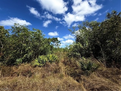 Perched on Calusa Ridge on Pine Island, this oversized - photo 5