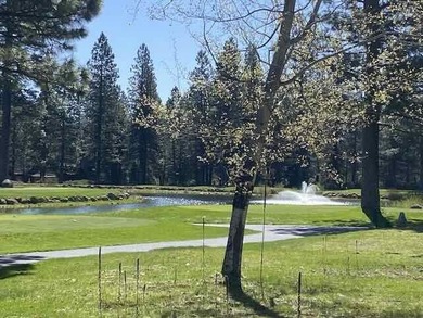 Lovely level property on the second fairway of Bailey Creek - photo 2