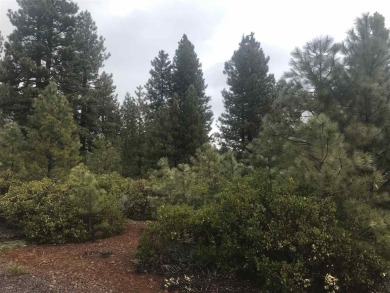 Lovely level property on the second fairway of Bailey Creek - photo 1