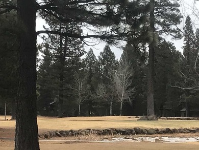 Lovely level property on the second fairway of Bailey Creek - photo 2