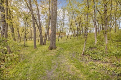 Own a piece of one of central Minnesota's most beloved lakes! - photo 42