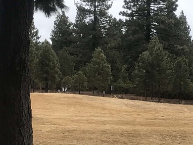 Lovely level property on the second fairway of Bailey Creek - photo 3