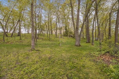 Own a piece of one of central Minnesota's most beloved lakes! - photo 47