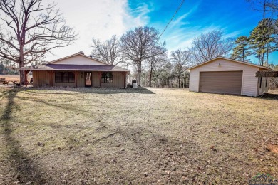 (private lake, pond, creek) Home For Sale in Diana Texas