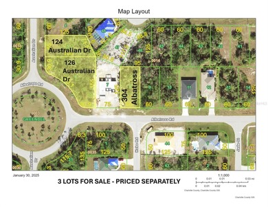 Build your Florida dream home on this fantastic, oversized - photo 3