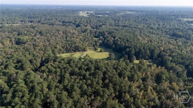 (private lake, pond, creek) Home For Sale in Comer Georgia