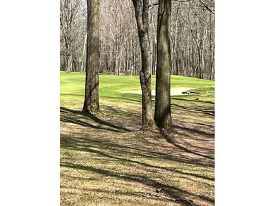This incredible lot on Questview Golf Course is perfectly - photo 4