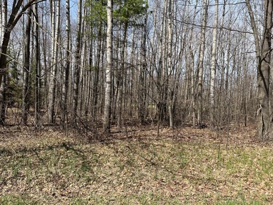 This incredible lot on Questview Golf Course is perfectly - photo 6