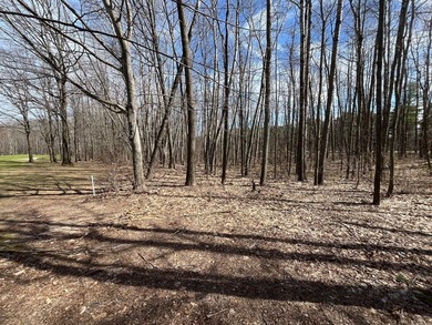 This incredible lot on Questview Golf Course is perfectly - photo 8