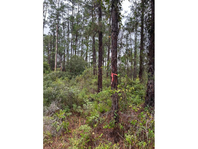 Lehigh Acres Area Lot For Sale in Lehigh Acres Florida