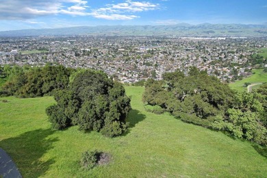 Escape the hustle and bustle of Silicon Valley and embrace - photo 21