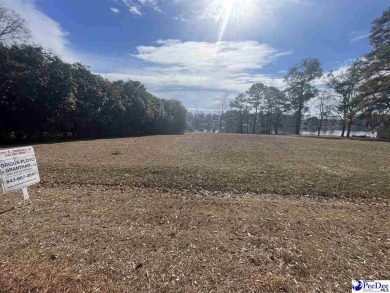 Lake Lot For Sale in Florence, South Carolina