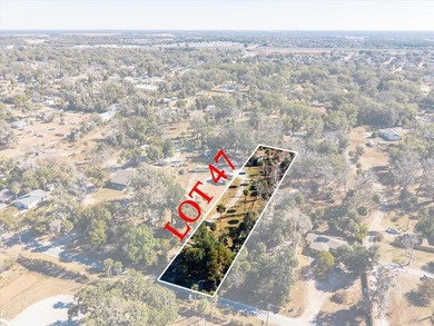 Welcome to your own piece of paradise across from Lake Apopka - photo 22