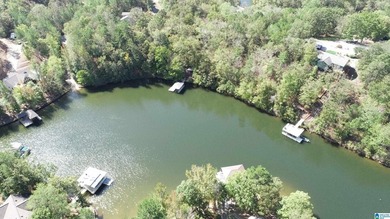 Price drop to $679,000 Best deal on the LAKE !!Amazing custom - photo 24
