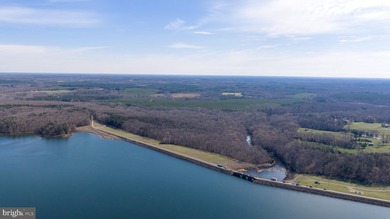 Rare opportunity to acquire 107+ acres comprised of four - photo 8
