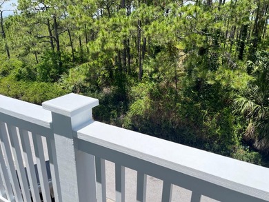 Welcome to Carillon Beach, a breathtakingly beautiful gated gulf - photo 37