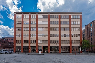 Lake Erie - Cuyahoga County Condo For Sale in Cleveland Ohio