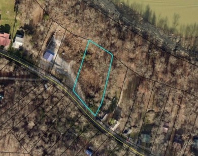 Lakefront, Lake View, STR-Friendly, Dock Space Available - Lake Lot For Sale in Cub Run, Kentucky