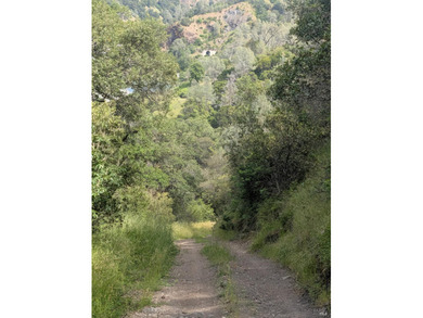 Ever dream of owning a slice of Northern California property - photo 3