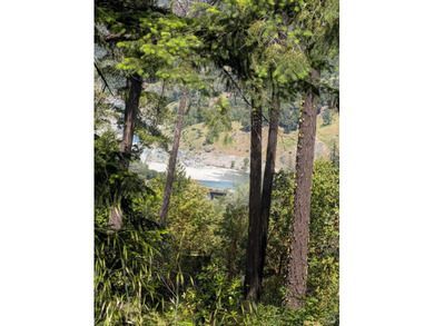 Ever dream of owning a slice of Northern California property - photo 6