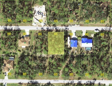 Port Charlotte Waterway Area Lot For Sale in Port Charlotte Florida