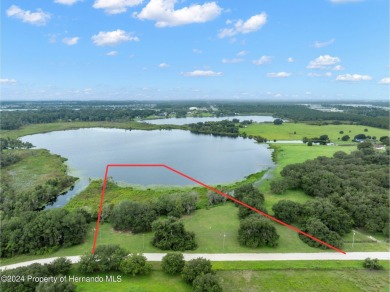 (private lake, pond, creek) Acreage For Sale in Wesley Chapel Florida