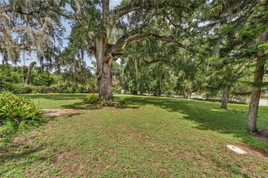 Lake Lot Sale Pending in Clermont, Florida