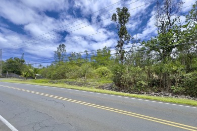 Previously partially ripped and leveled, this vacant corner lot - photo 11