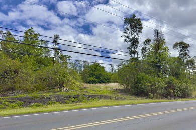 Previously partially ripped and leveled, this vacant corner lot - photo 12