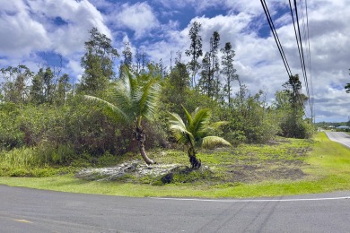 Previously partially ripped and leveled, this vacant corner lot - photo 13