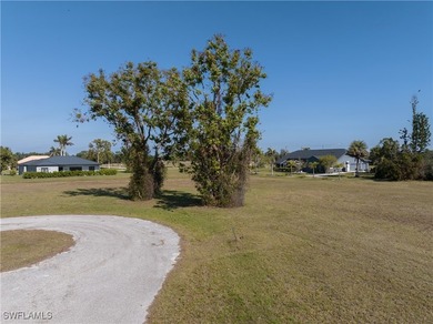 Welcome to Your Future Home in Burnt Store Lakes - A Slice of - photo 14