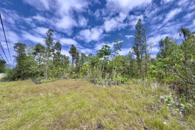 Previously partially ripped and leveled, this vacant corner lot - photo 14